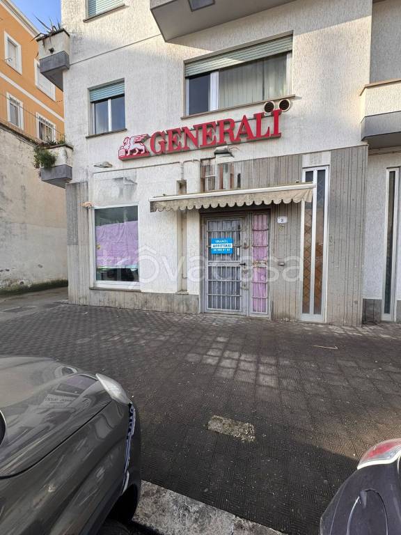 immagine annuncio 1 di 14