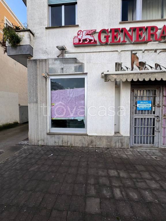 immagine annuncio 11 di 14