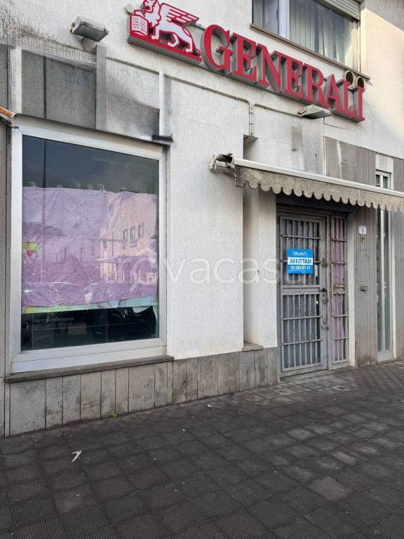 immagine annuncio 12 di 14