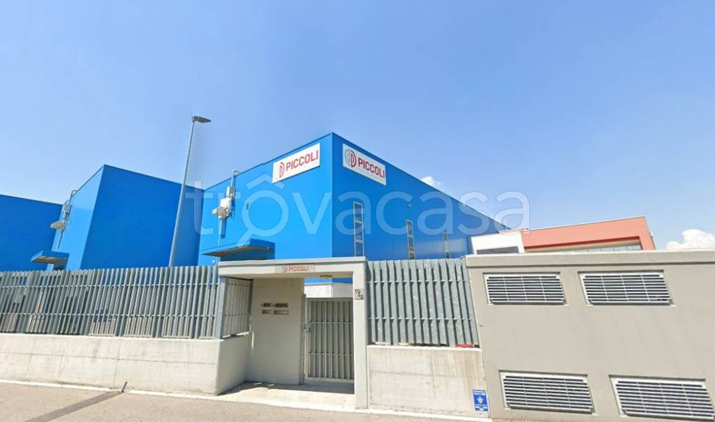 immagine annuncio 2 di 6