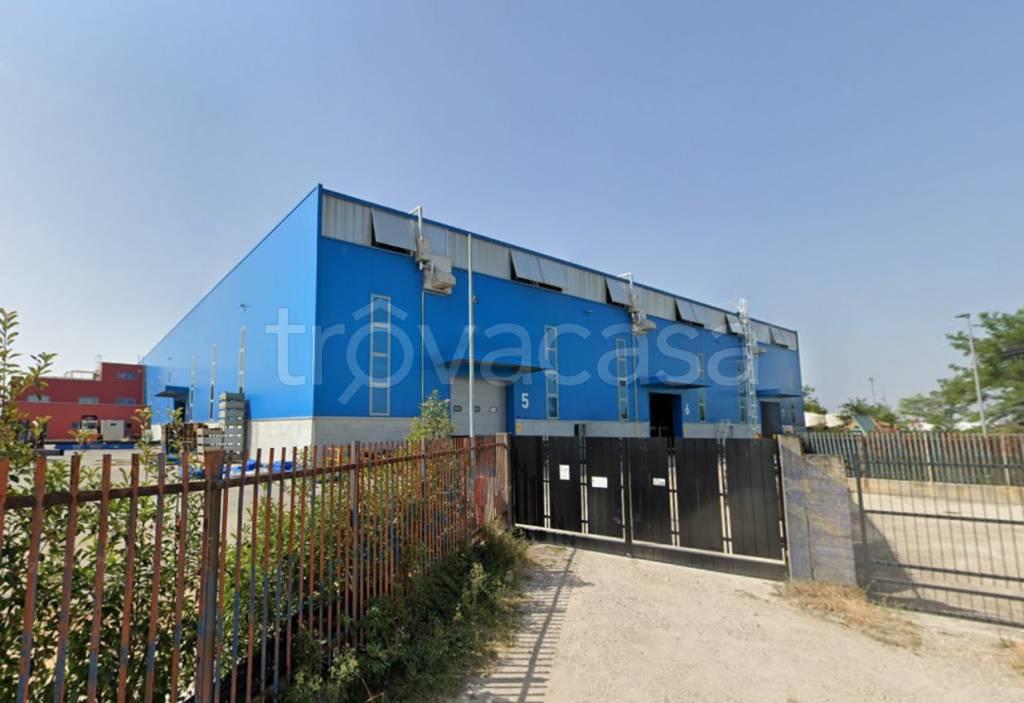 immagine annuncio 5 di 6