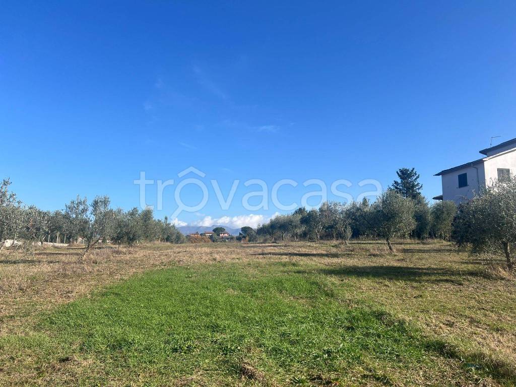 immagine annuncio 3 di 12