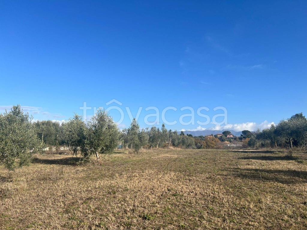 immagine annuncio 4 di 12