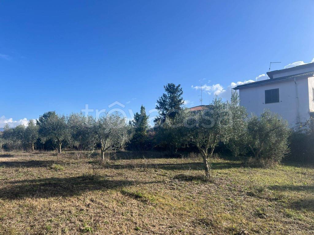 immagine annuncio 5 di 12