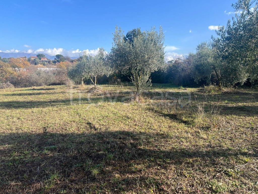 immagine annuncio 7 di 12