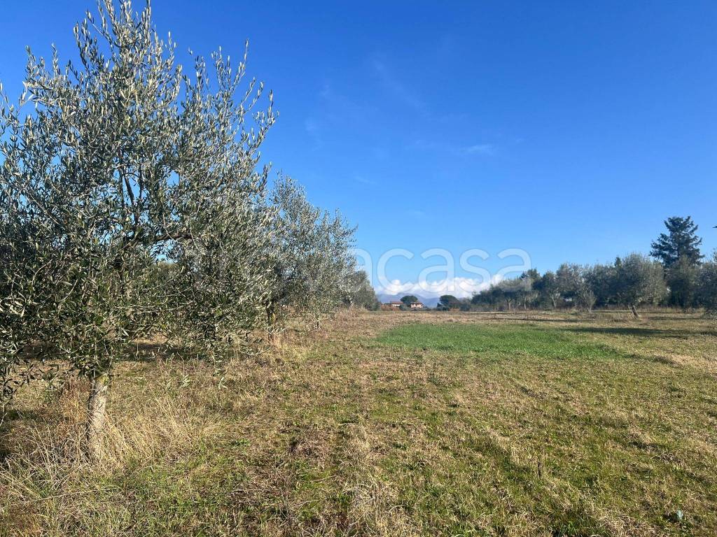 immagine annuncio 8 di 12