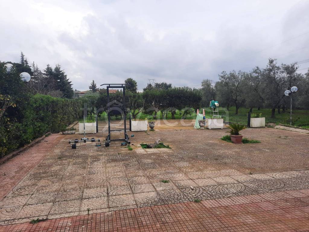 immagine annuncio 11 di 15