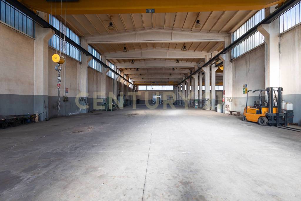 immagine annuncio 13 di 15