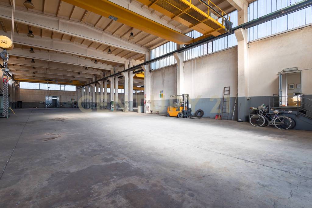 immagine annuncio 14 di 15