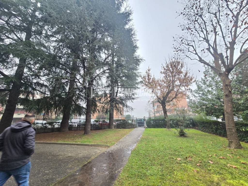 immagine annuncio 10 di 13