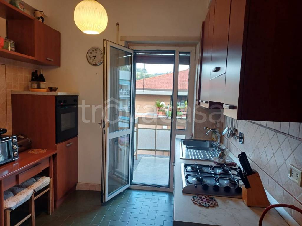 immagine annuncio 6 di 14