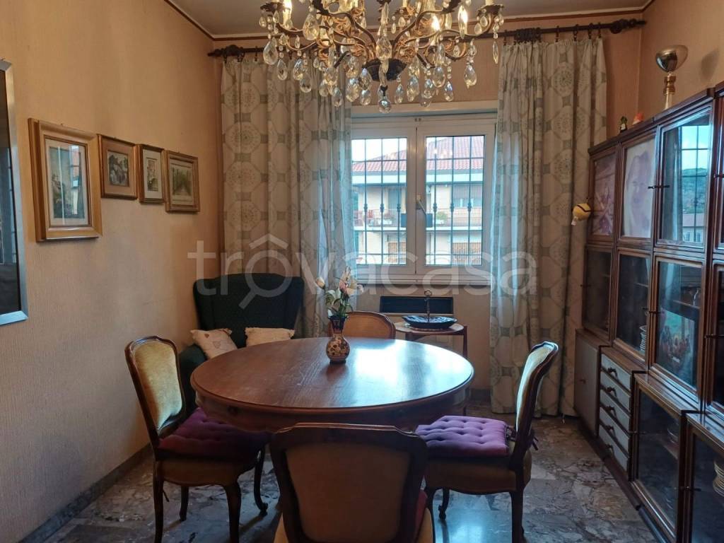 immagine annuncio 4 di 14