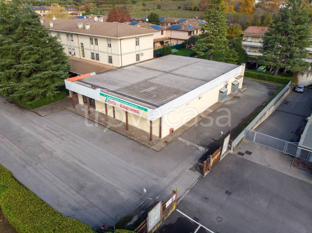 immagine annuncio 2 di 7