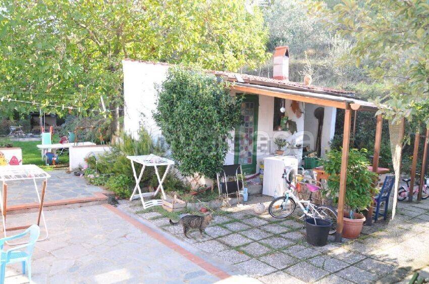 immagine annuncio 2 di 12