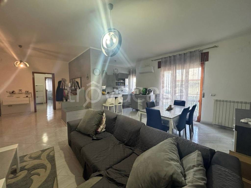 immagine annuncio 1 di 12