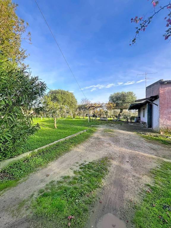 immagine annuncio 1 di 9