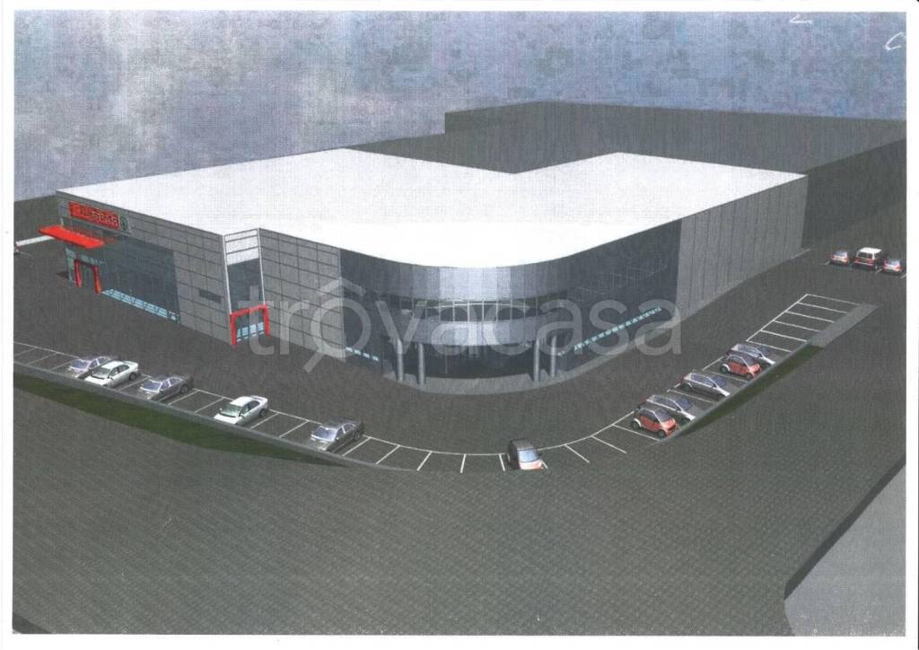 immagine annuncio 3 di 10