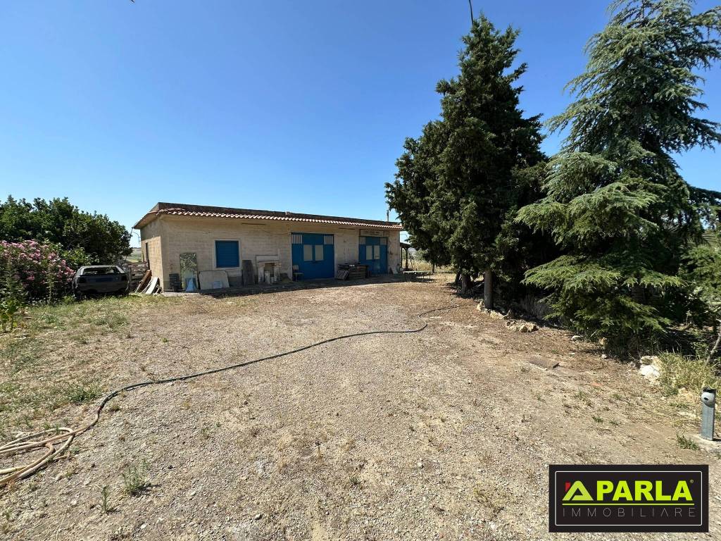 immagine annuncio 2 di 12