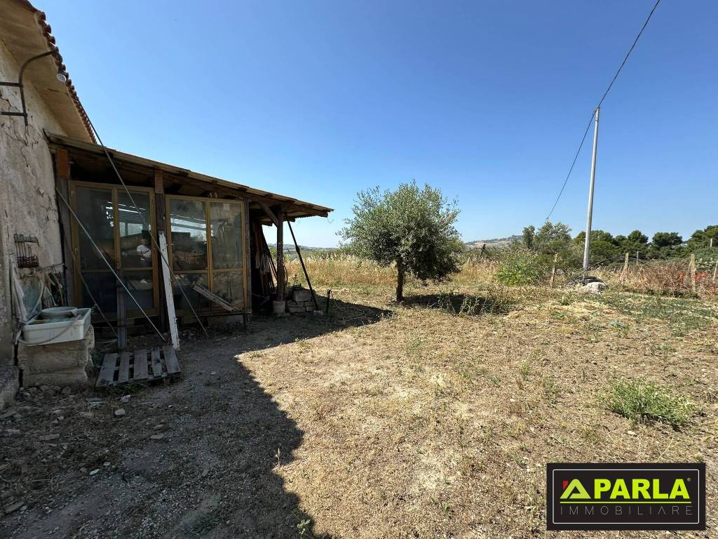 immagine annuncio 3 di 12