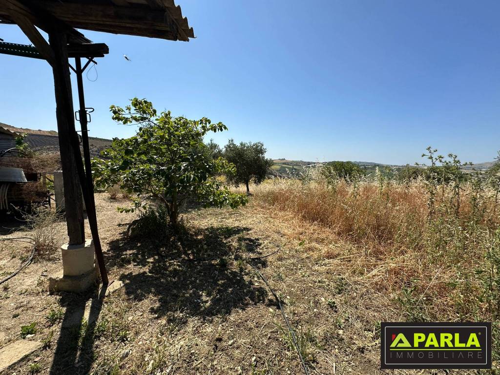 immagine annuncio 5 di 12