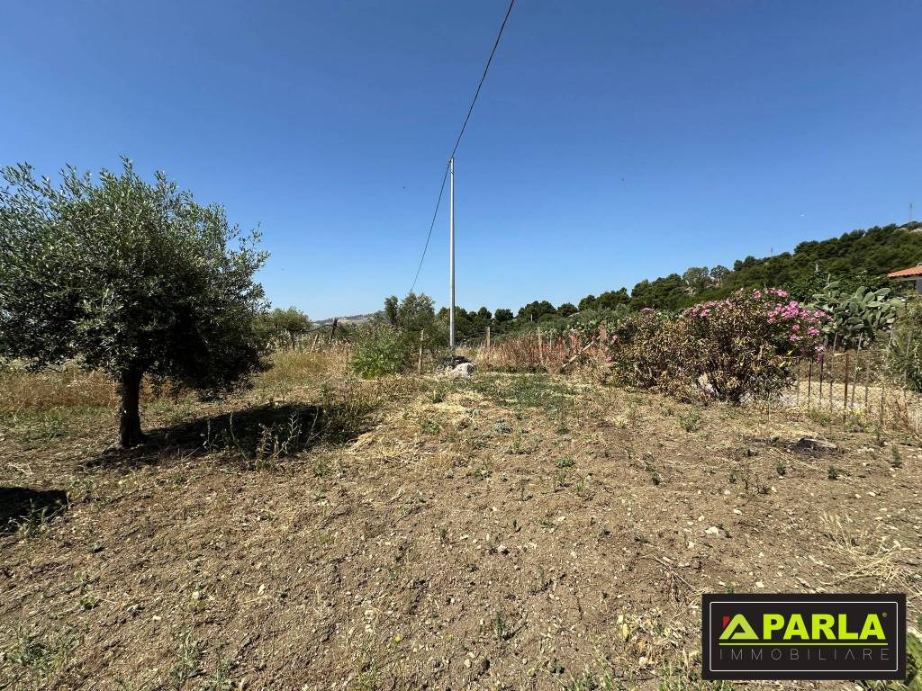 immagine annuncio 6 di 12