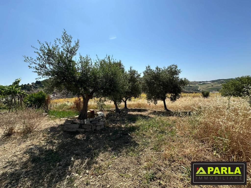 immagine annuncio 7 di 12