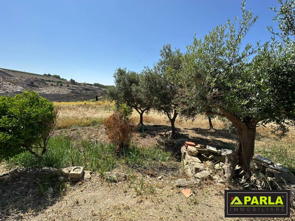 immagine annuncio 8 di 12