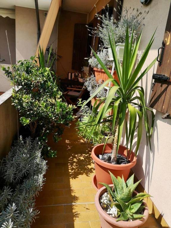 immagine annuncio 6 di 8