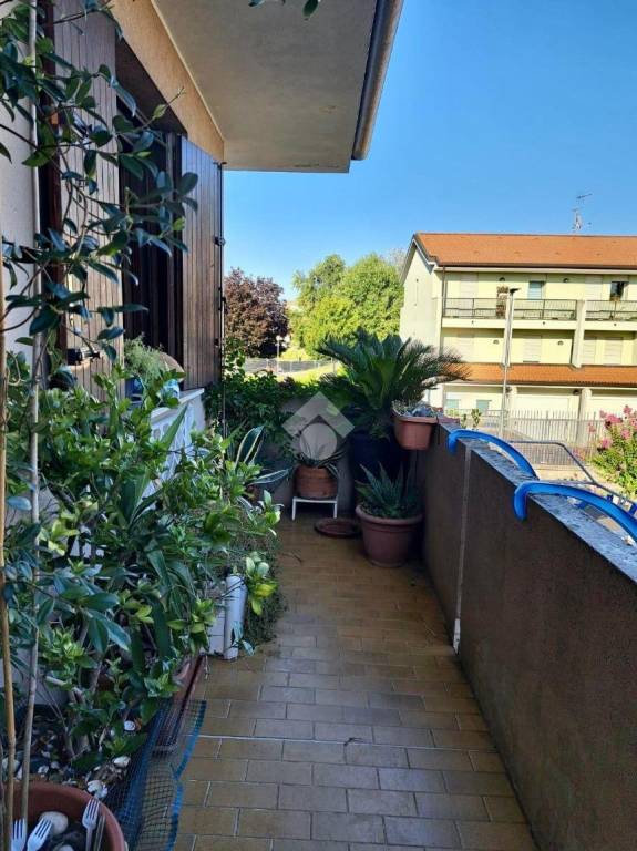 immagine annuncio 7 di 8