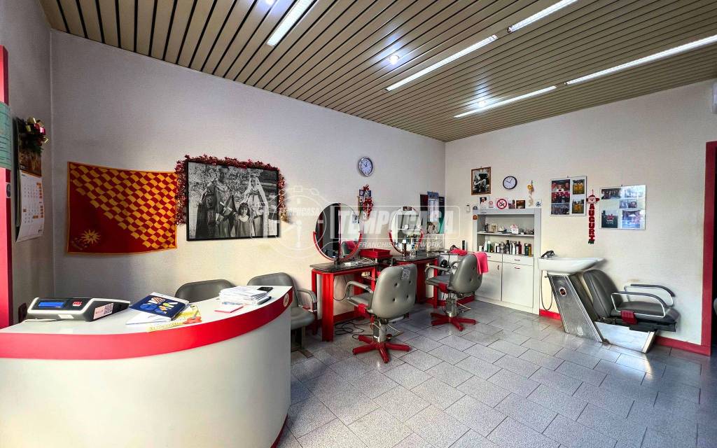 immagine annuncio 1 di 12