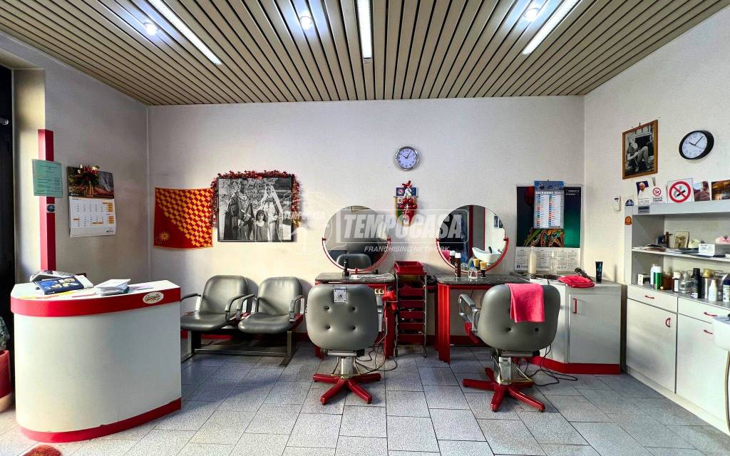 immagine annuncio 3 di 12