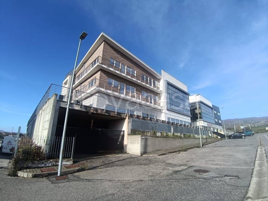 immagine annuncio 1 di 13