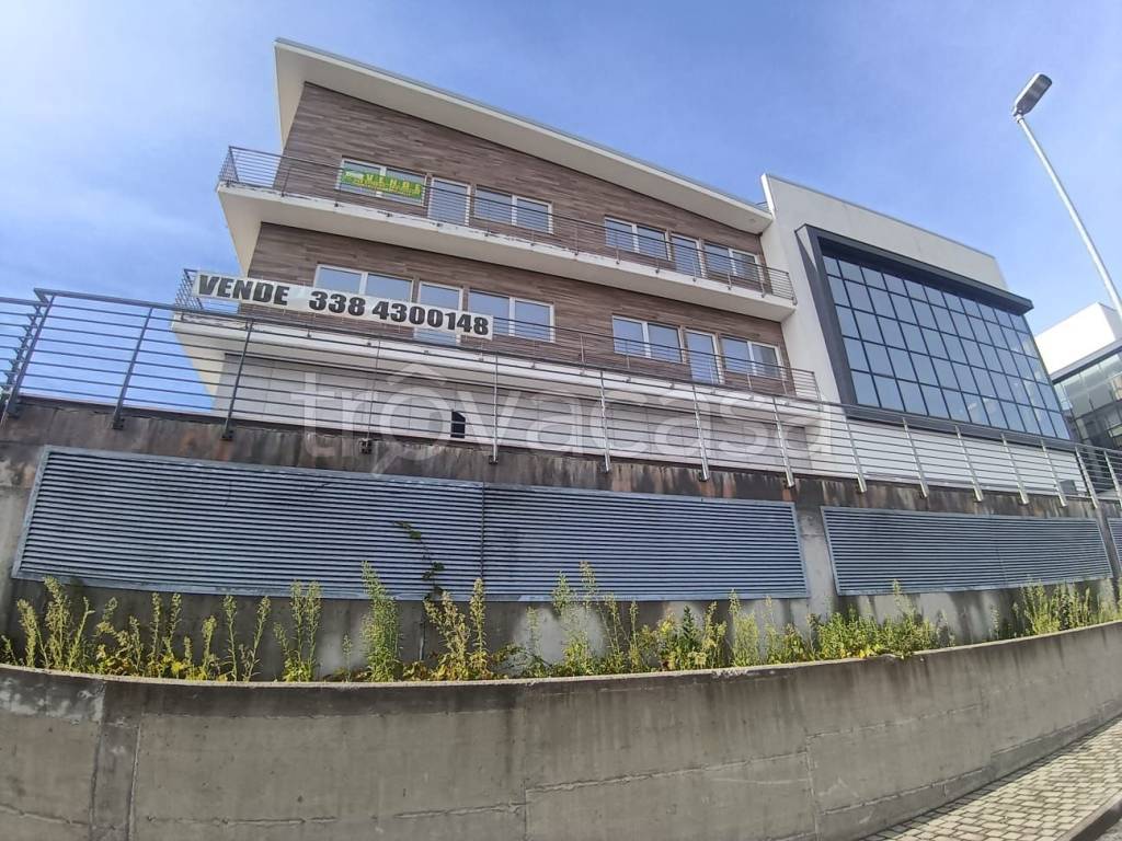 immagine annuncio 3 di 13