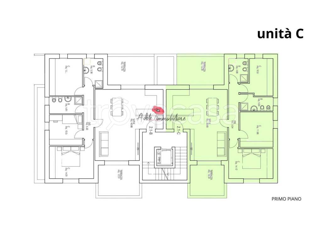 immagine annuncio 9 di 12