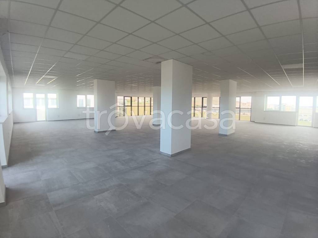 immagine annuncio 9 di 13