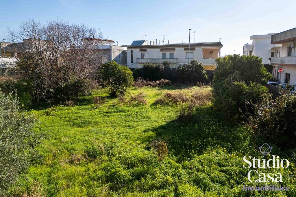 immagine annuncio 11 di 12