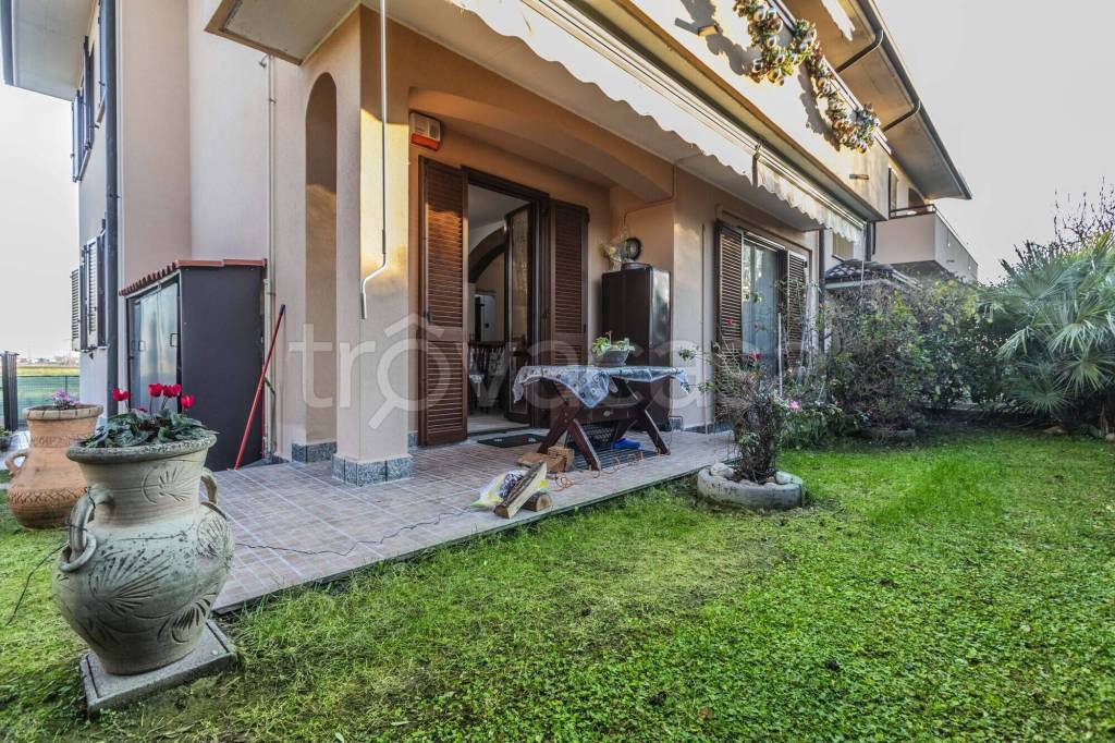 immagine annuncio 11 di 15