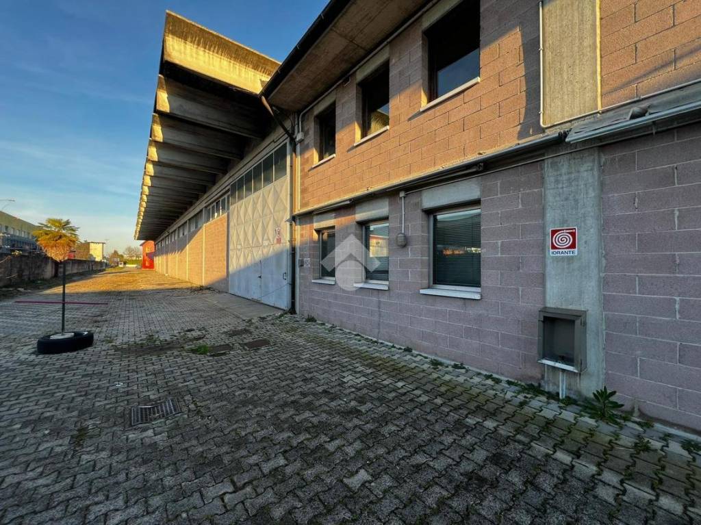 immagine annuncio 4 di 15