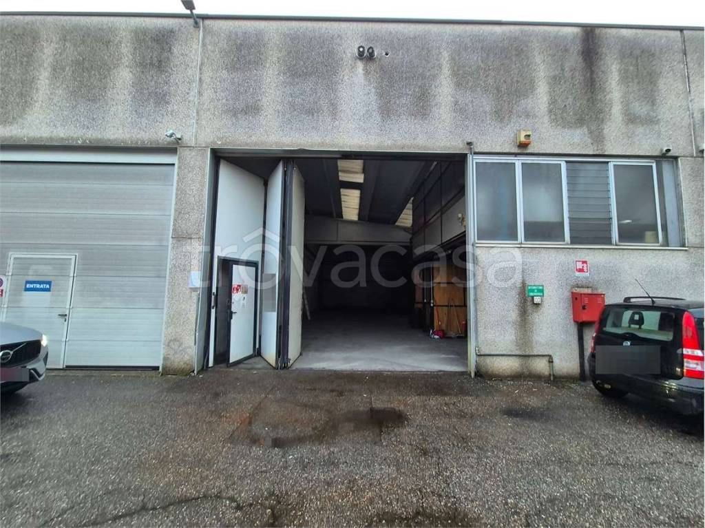 immagine annuncio 2 di 15