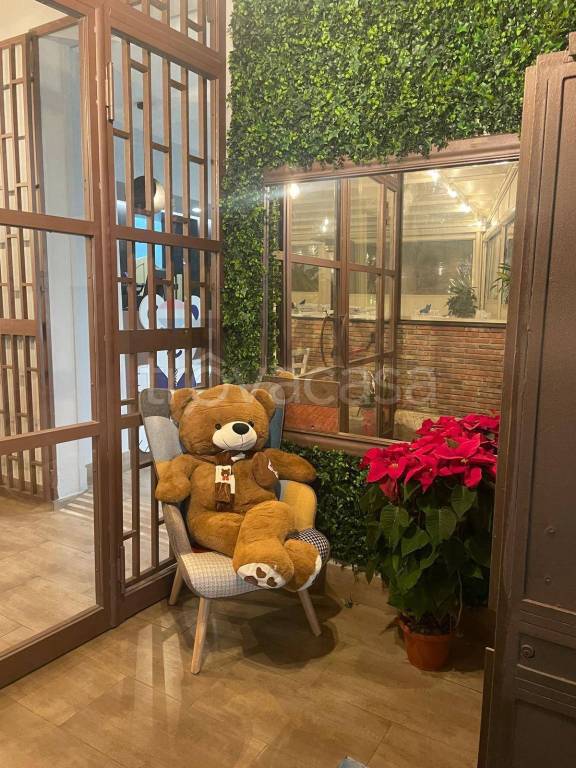 immagine annuncio 2 di 13