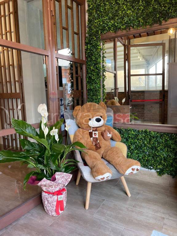 immagine annuncio 3 di 13