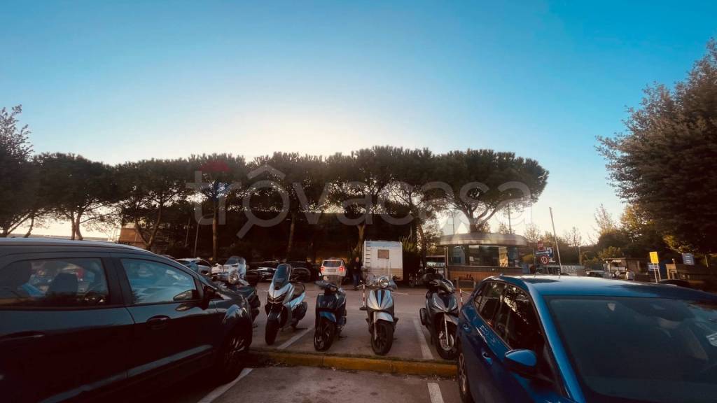 immagine annuncio 7 di 12