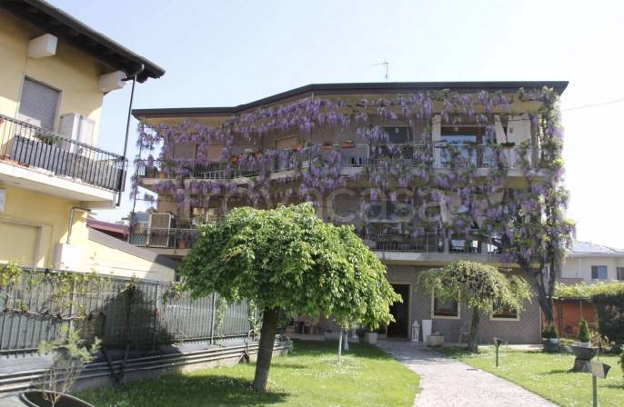 immagine annuncio 13 di 15