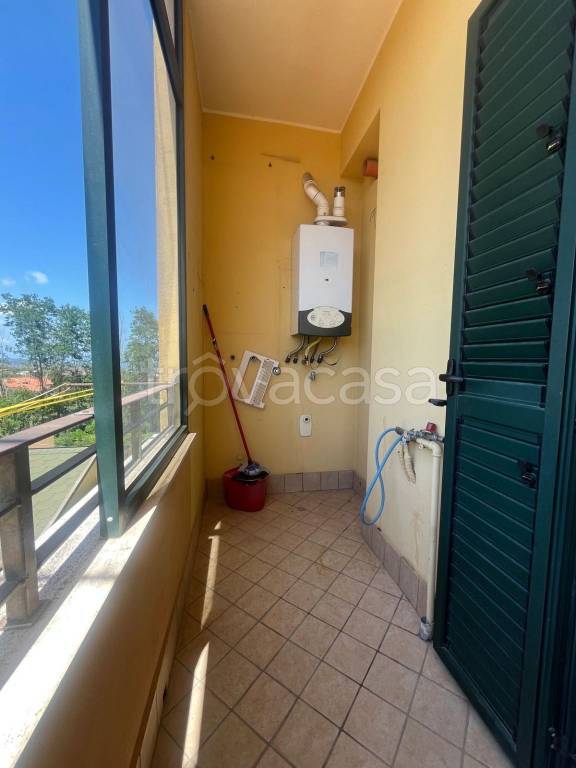 immagine annuncio 6 di 14