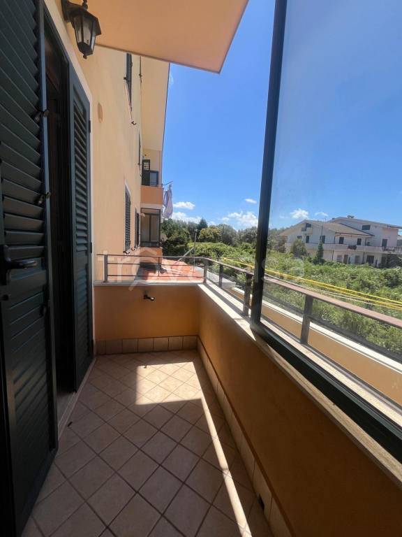 immagine annuncio 2 di 14