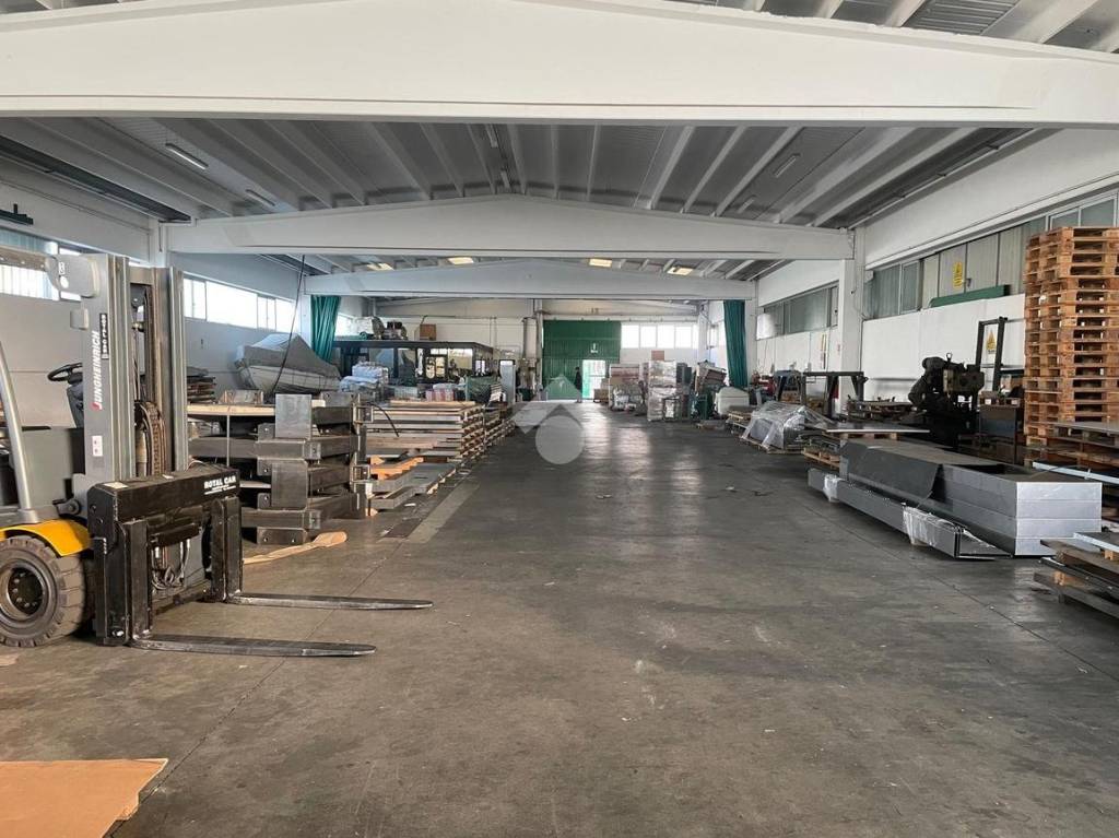 immagine annuncio 9 di 15