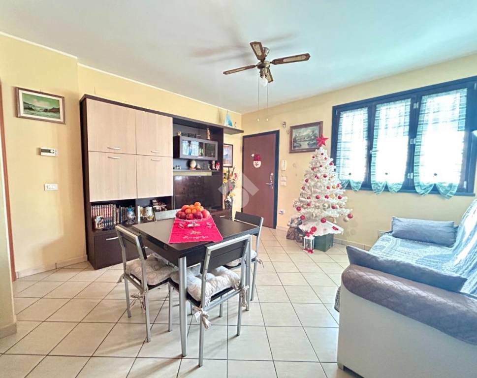 immagine annuncio 9 di 13