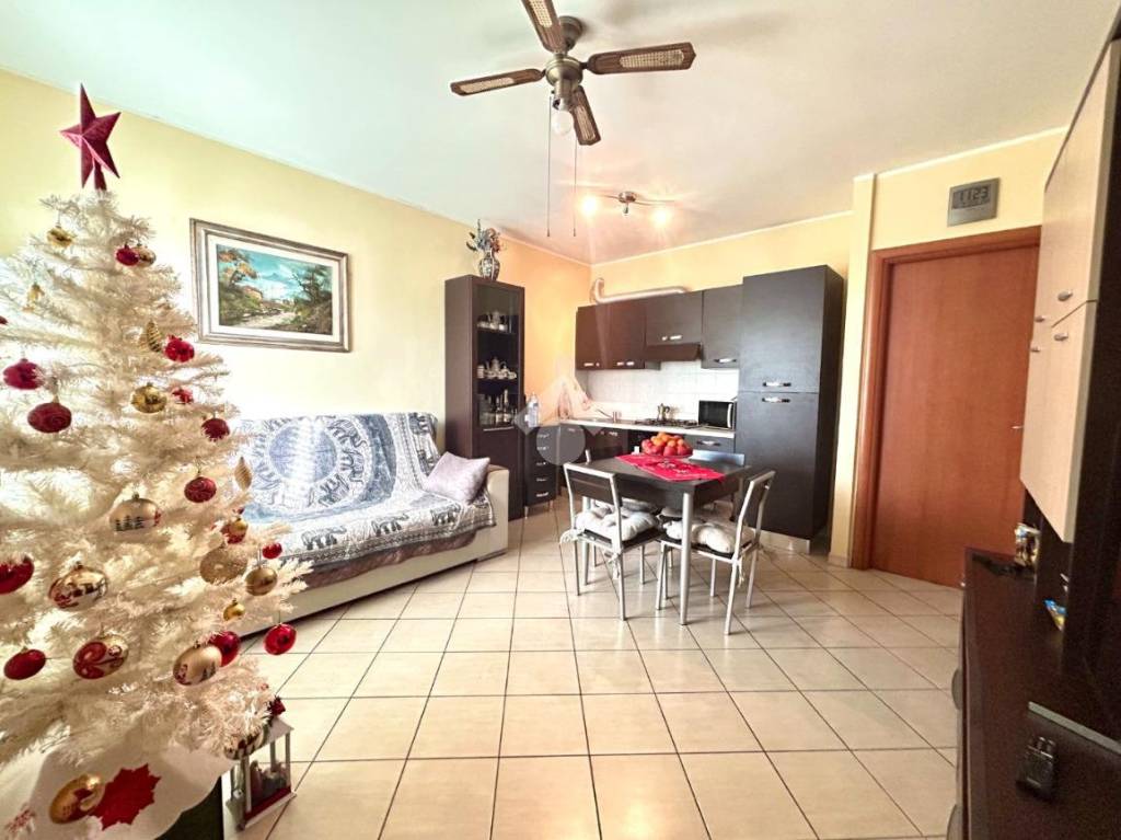 immagine annuncio 11 di 13