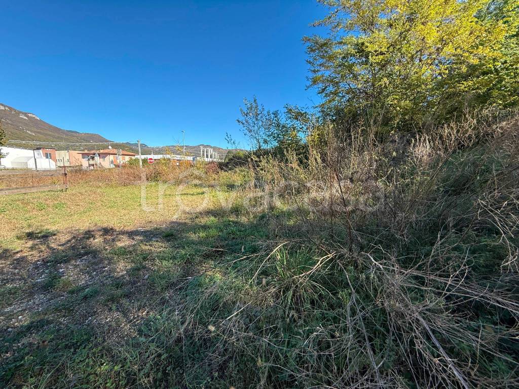 immagine annuncio 6 di 14