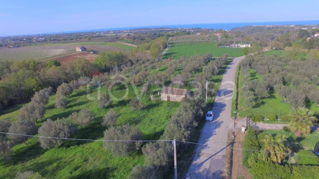 immagine annuncio 2 di 4